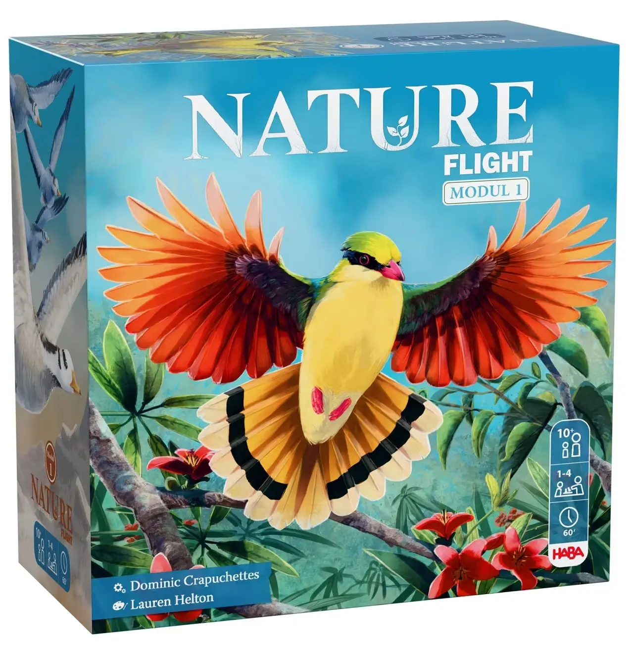 Cover: 4010168297118 | Nature Modul 1 Flight | Spiel | Deutsch | 2026 | HABA