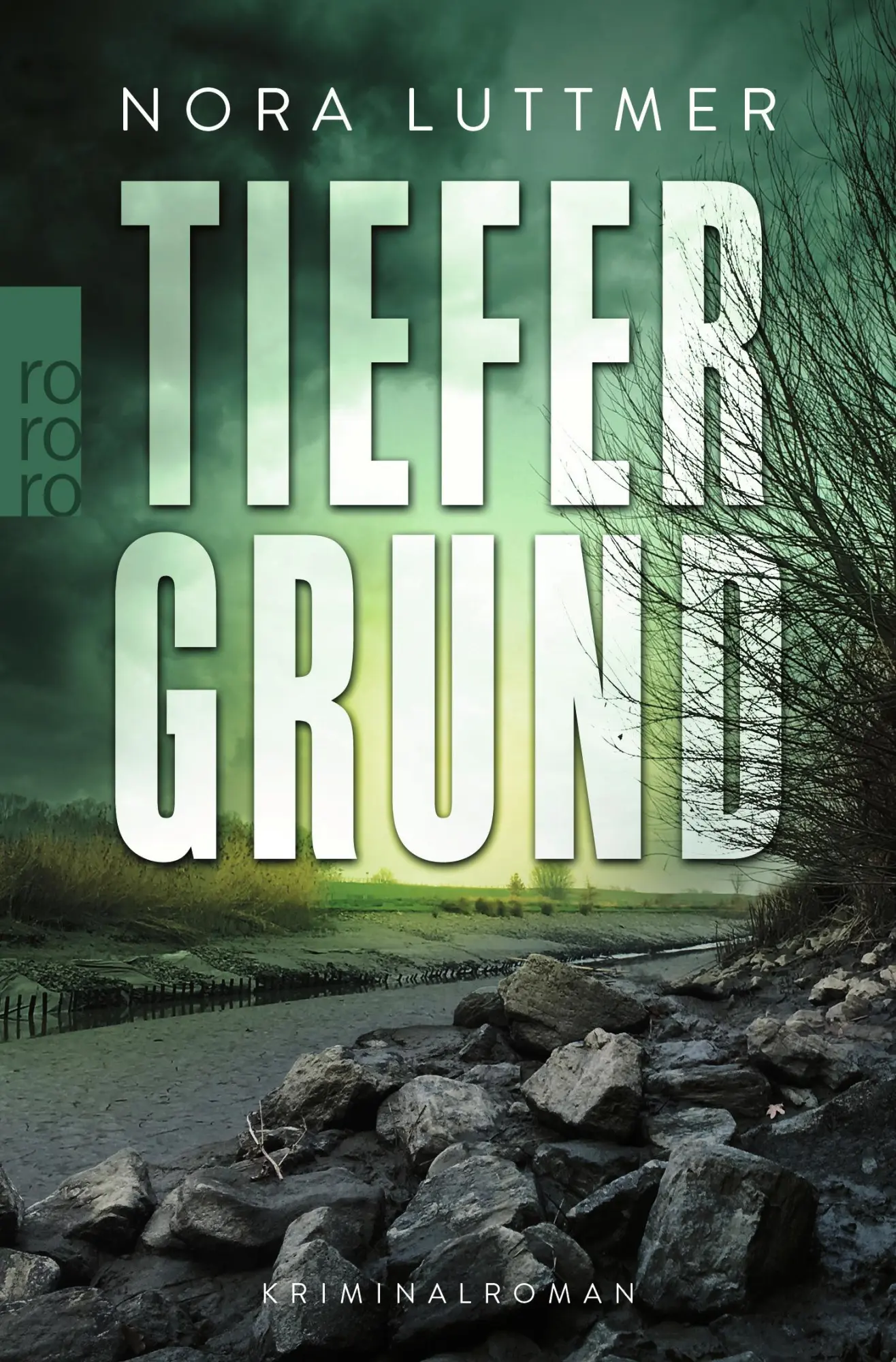 Cover: 9783499007118 | Tiefergrund | Kriminalroman | Nora Luttmer | Taschenbuch | 416 S.