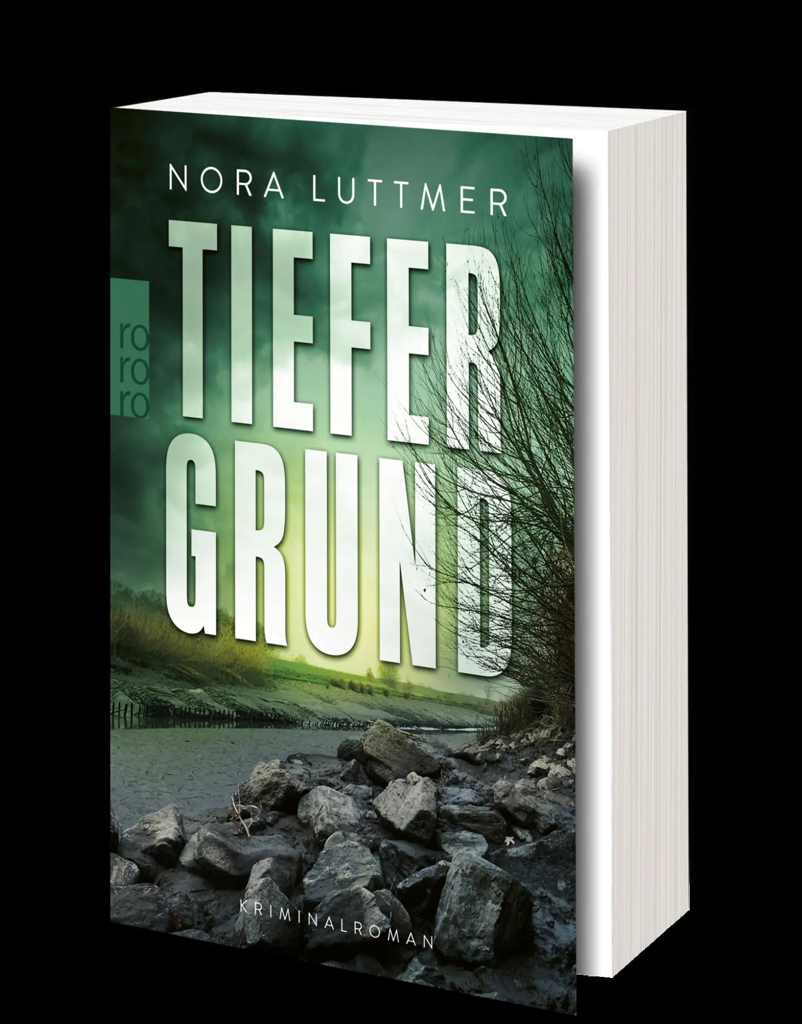 Bild: 9783499007118 | Tiefergrund | Kriminalroman | Nora Luttmer | Taschenbuch | 416 S.