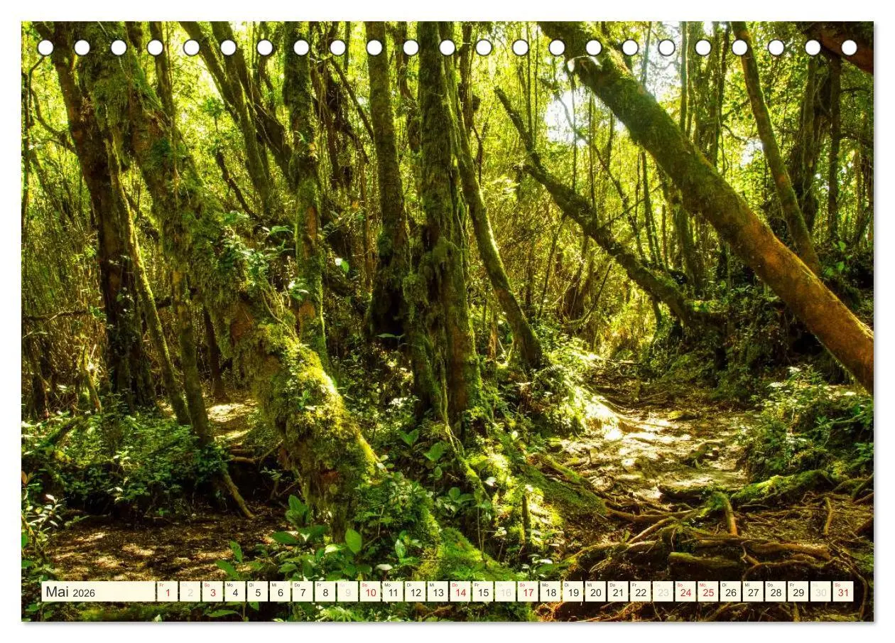 Bild: 9783516067118 | Unterwegs in Malaysia (Tischkalender 2026 DIN A5 quer), CALVENDO...