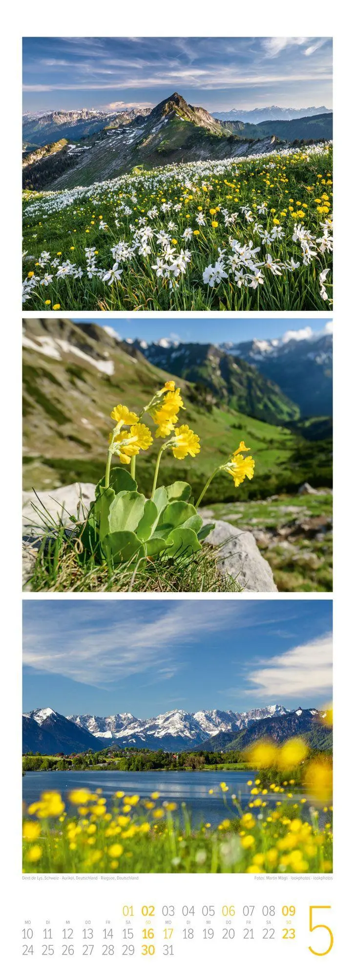 Bild: 9783838427218 | Bergzeit Triplet-Kalender 2027 | Ackermann Kunstverlag GmbH | Kalender