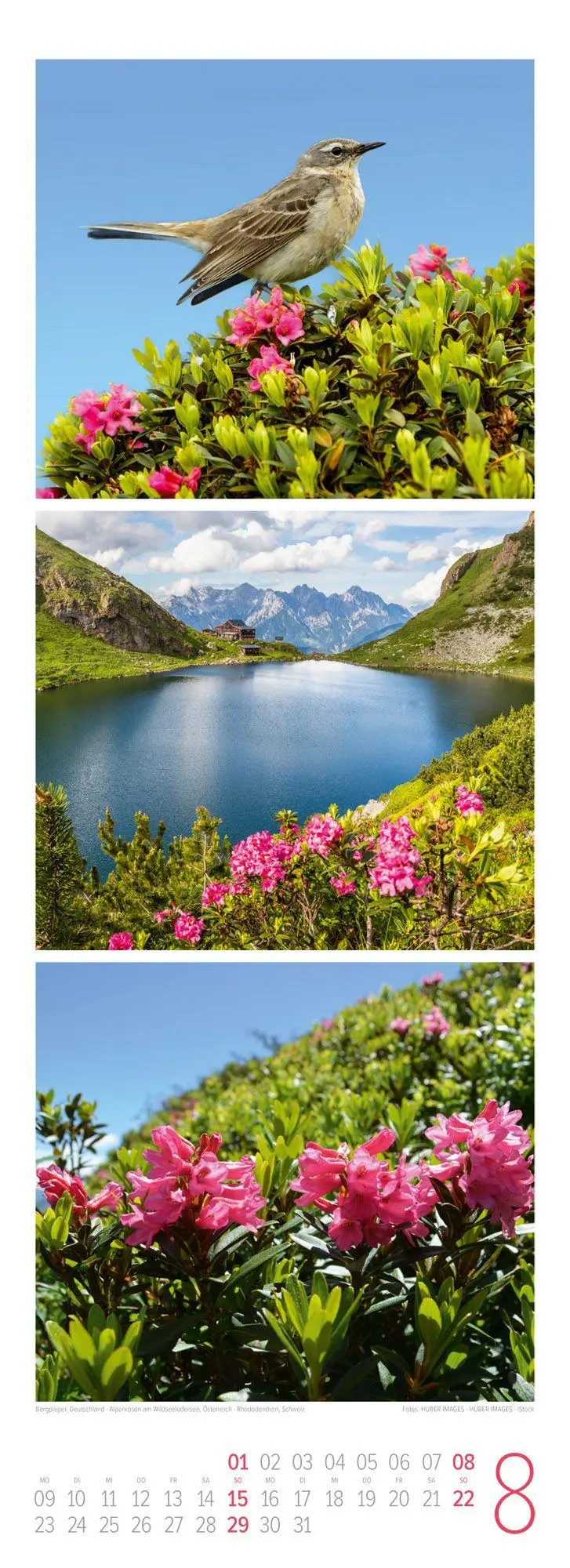 Bild: 9783838427218 | Bergzeit Triplet-Kalender 2027 | Ackermann Kunstverlag GmbH | Kalender