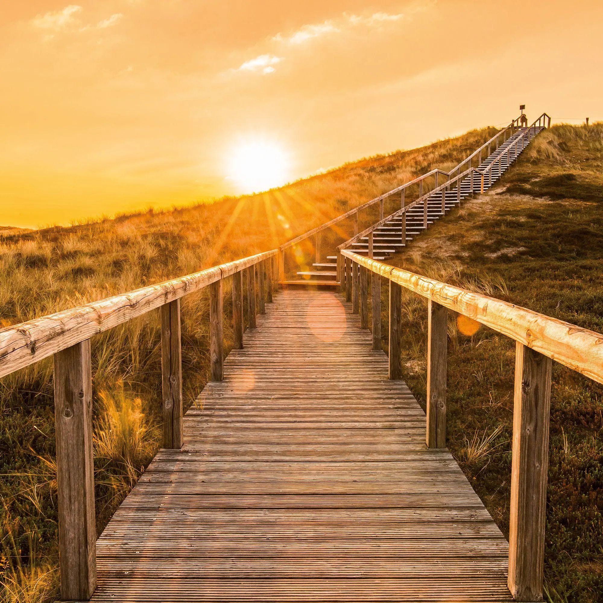 Bild: 9783959297318 | Die Sonne geht auf / Sunrise 2027 | Kalender 2027 | Kalender | 28 S.