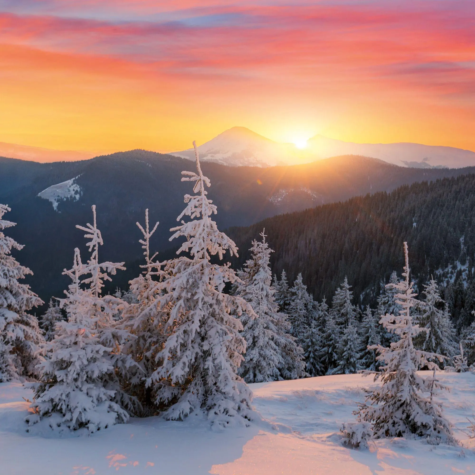 Bild: 9783959297318 | Die Sonne geht auf / Sunrise 2027 | Kalender 2027 | Kalender | 28 S.