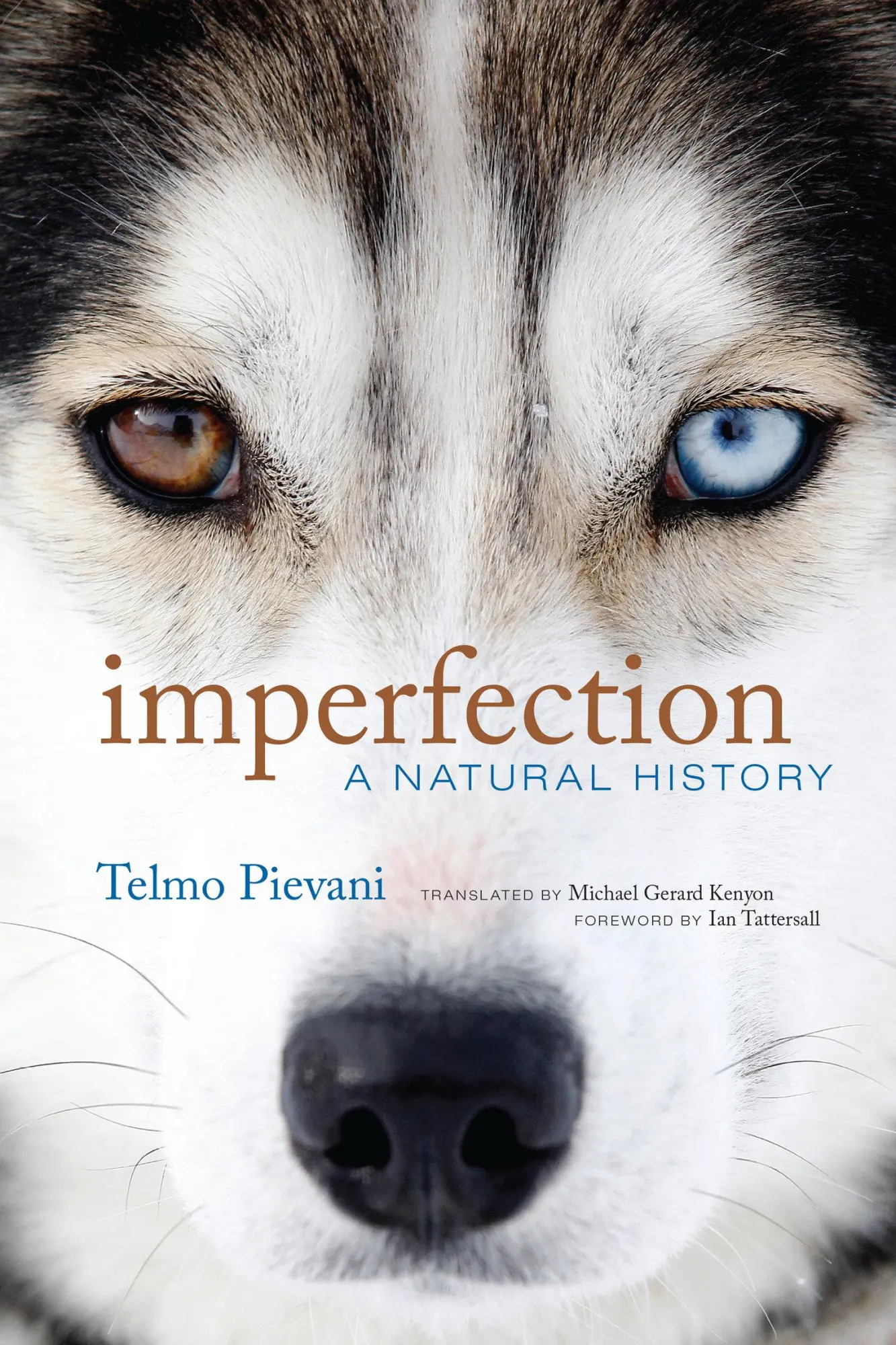 Cover: 9780262047418 | Imperfection | A Natural History | Telmo Pievani | Buch | Englisch Cover: 9780262047418 | Imperfection | A Natural History | Telmo Pievani | Buch | Englisch
