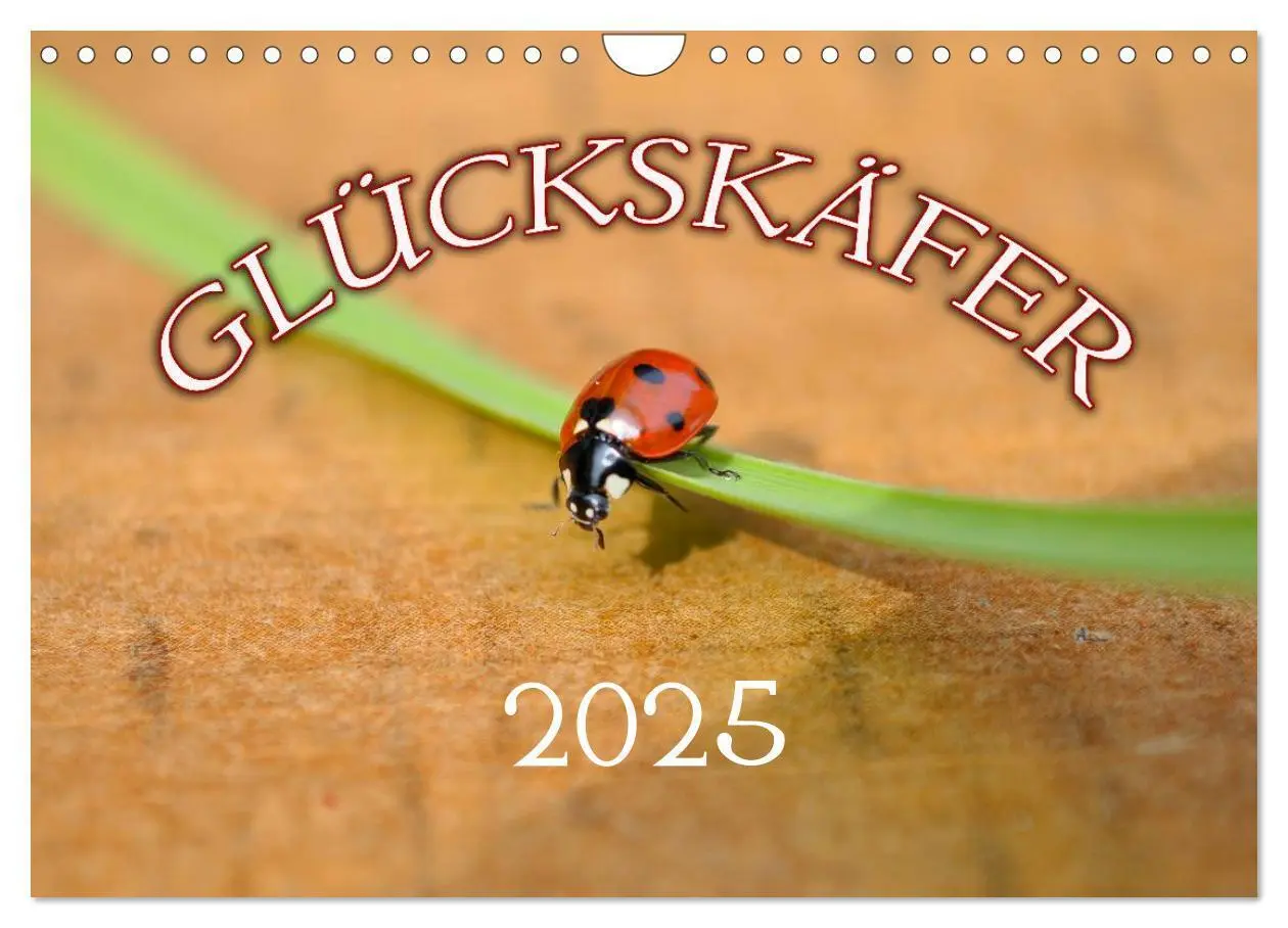 Cover: 9783435787418 | Marienkäfer 2025 (Wandkalender 2025 DIN A4 quer), CALVENDO...