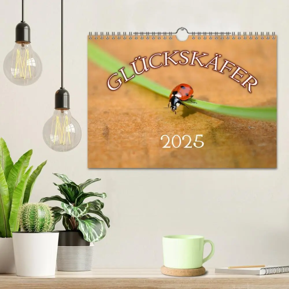 Bild: 9783435787418 | Marienkäfer 2025 (Wandkalender 2025 DIN A4 quer), CALVENDO...