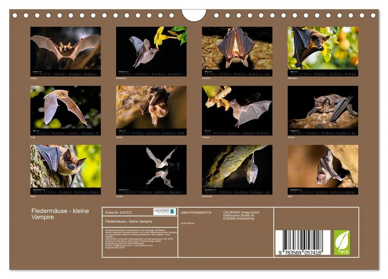 Bild: 9783569057418 | Fledermäuse - kleine Vampire (Wandkalender 2027 DIN A4 quer),...