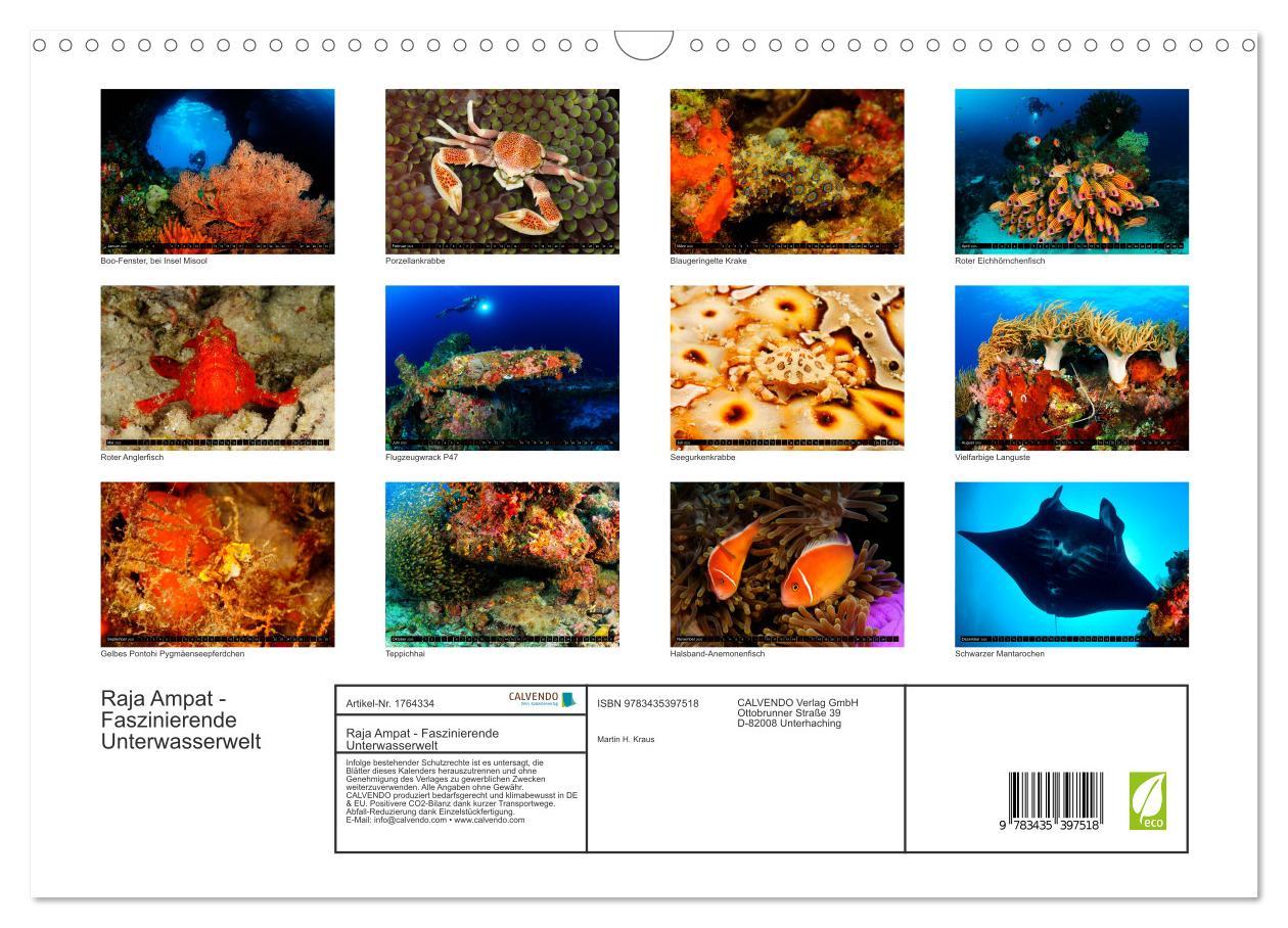 Bild: 9783435397518 | Raja Ampat - Faszinierende Unterwasserwelt (Wandkalender 2025 DIN...