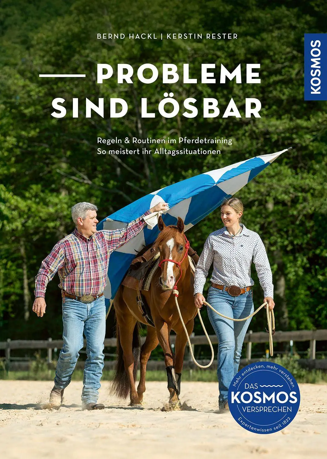 Cover: 9783440177518 | Probleme sind lösbar | Bernd Hackl (u. a.) | Taschenbuch | 144 S.