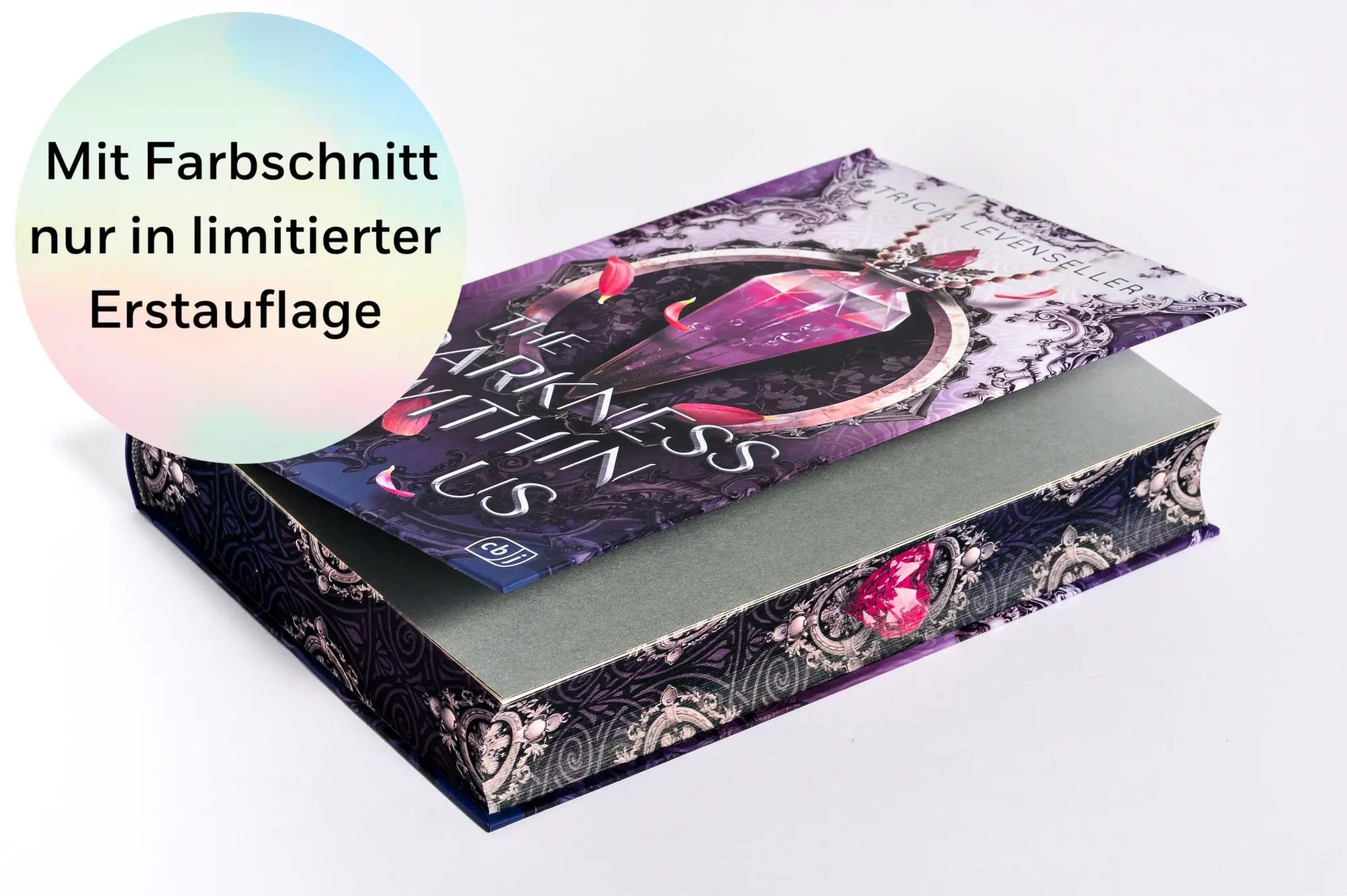 Bild: 9783570167618 | The Darkness Within Us | Tricia Levenseller | Buch | 416 S. | Deutsch