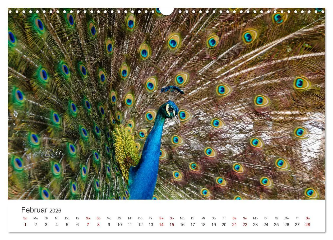 Bild: 9783457607718 | Venezuela - Eine Reise entlang der Karibikküste. (Wandkalender 2026...