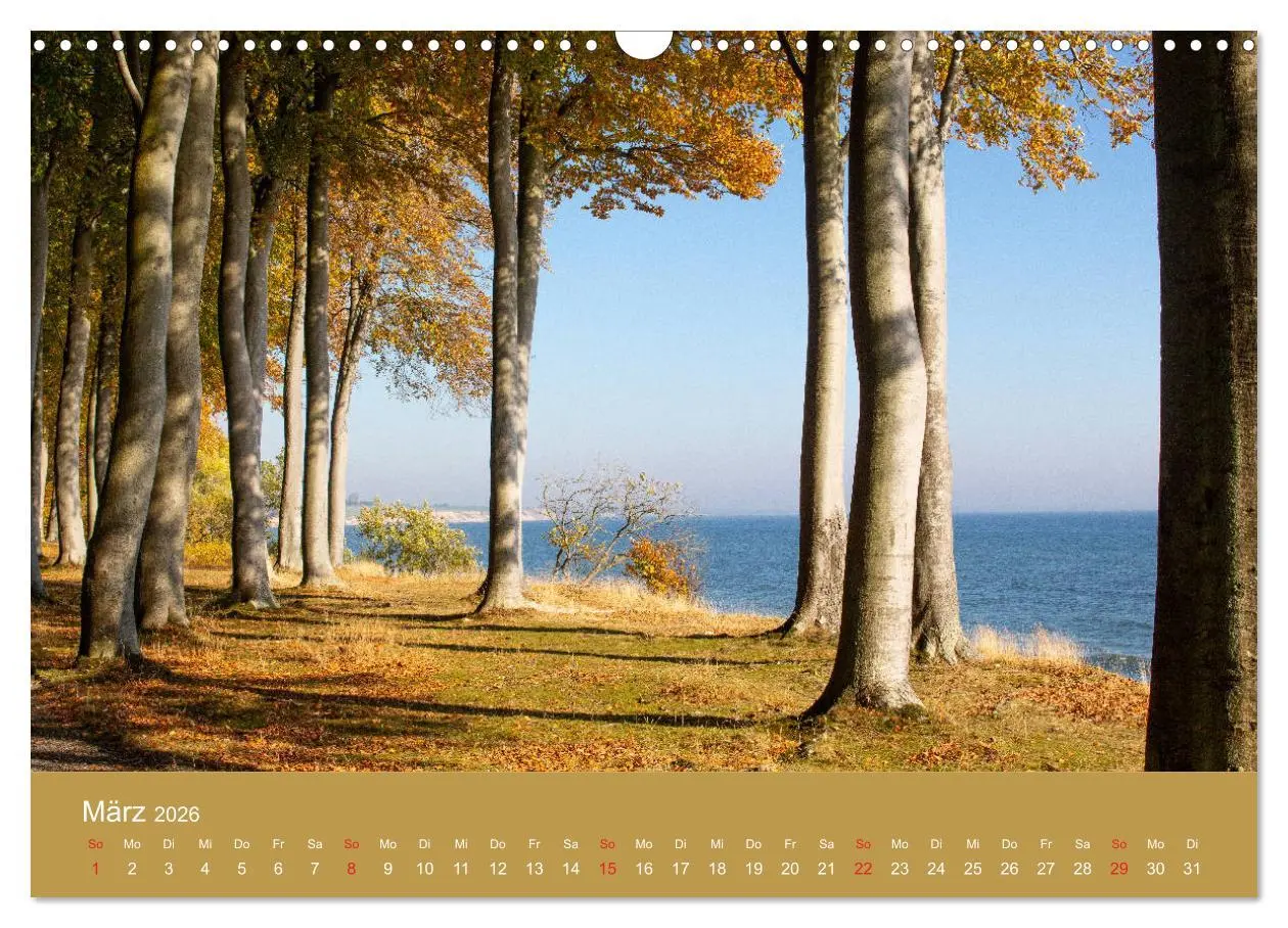 Bild: 9783457777718 | Mön, Impressionen einer dänischen Insel (Wandkalender 2026 DIN A3...