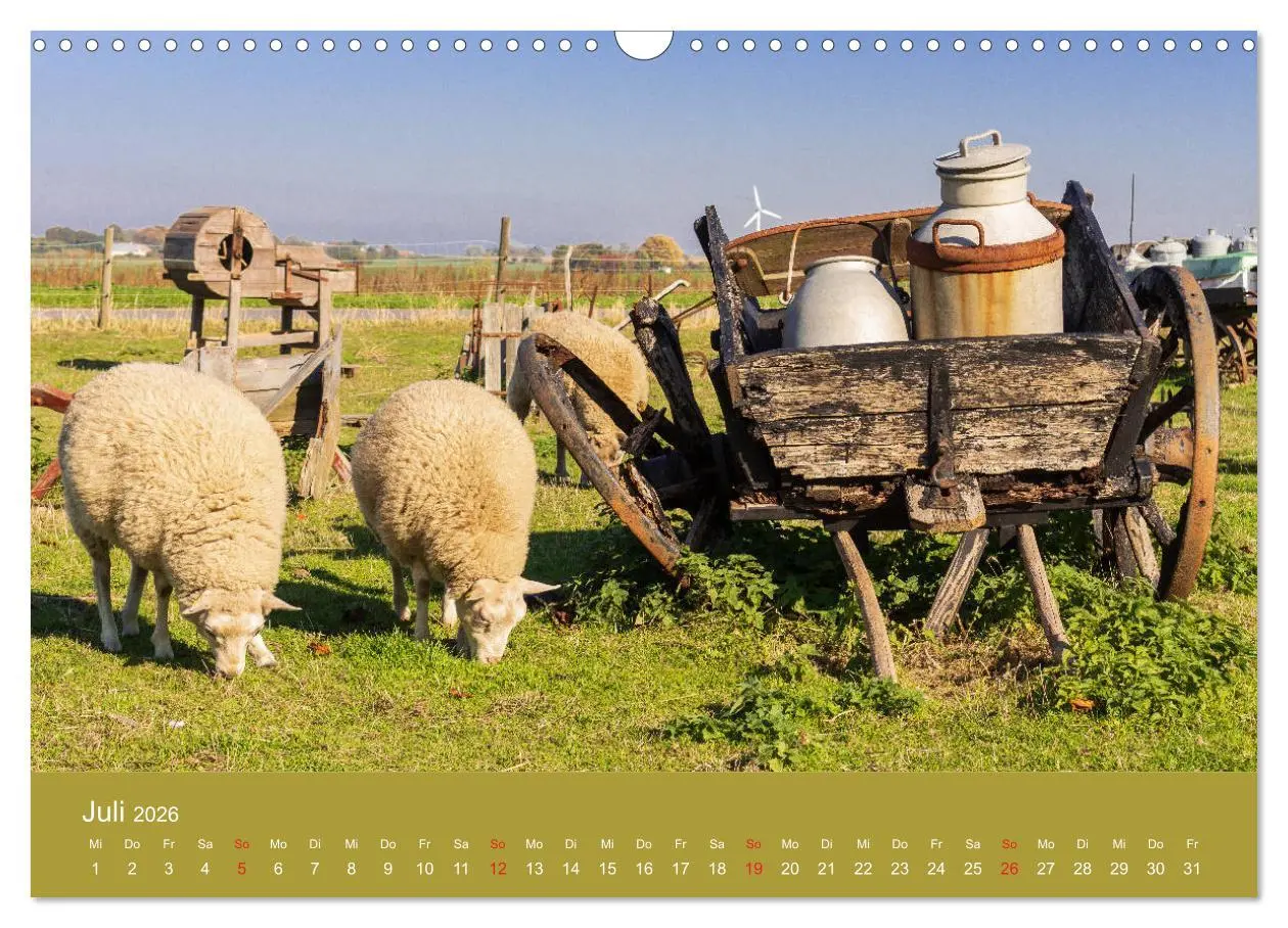 Bild: 9783457777718 | Mön, Impressionen einer dänischen Insel (Wandkalender 2026 DIN A3...