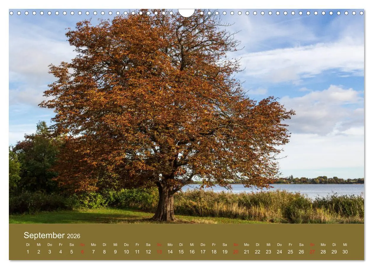 Bild: 9783457777718 | Mön, Impressionen einer dänischen Insel (Wandkalender 2026 DIN A3...
