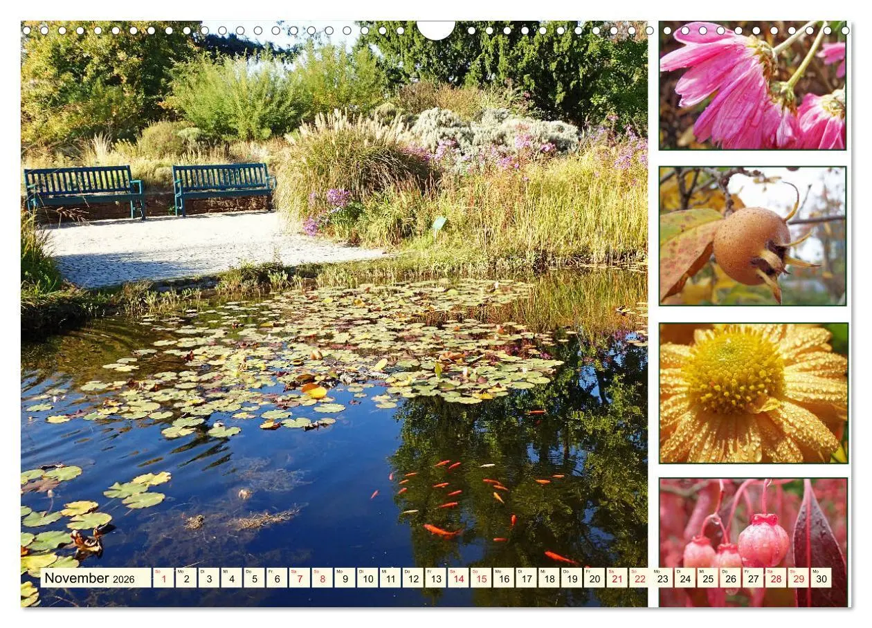 Bild: 9783457917718 | Im Hermannshof - Ein Traumgarten in Weinheim (Wandkalender 2026 DIN...