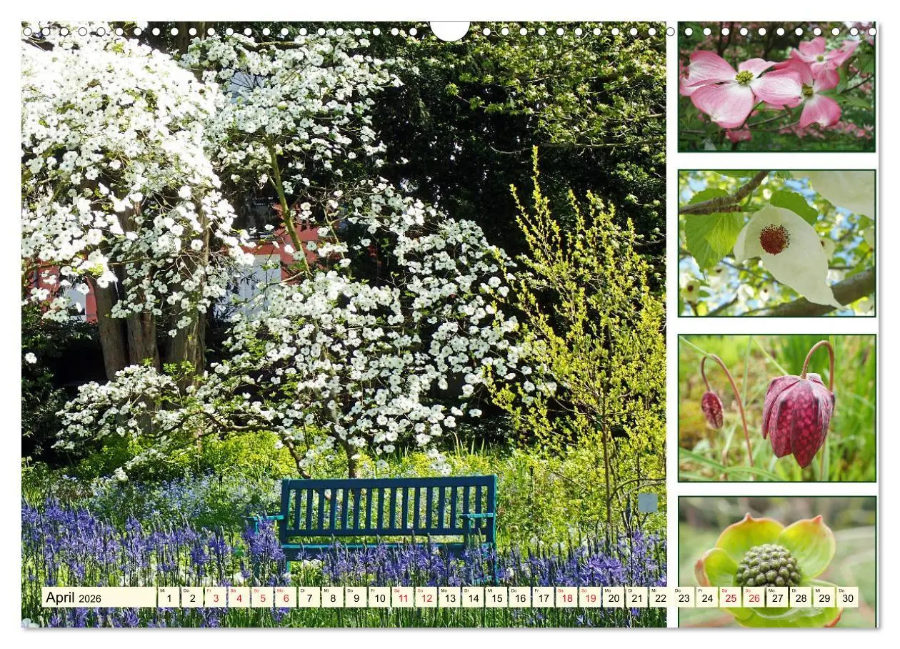 Bild: 9783457917718 | Im Hermannshof - Ein Traumgarten in Weinheim (Wandkalender 2026 DIN...