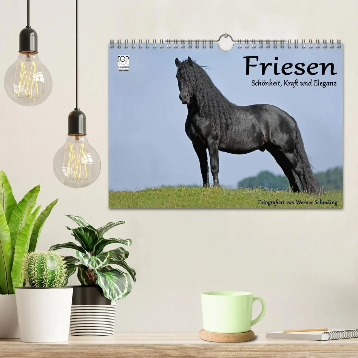 Bild: 9783569957718 | Friesen - Schönheit, Kraft und Eleganz (Wandkalender 2027 DIN A4...