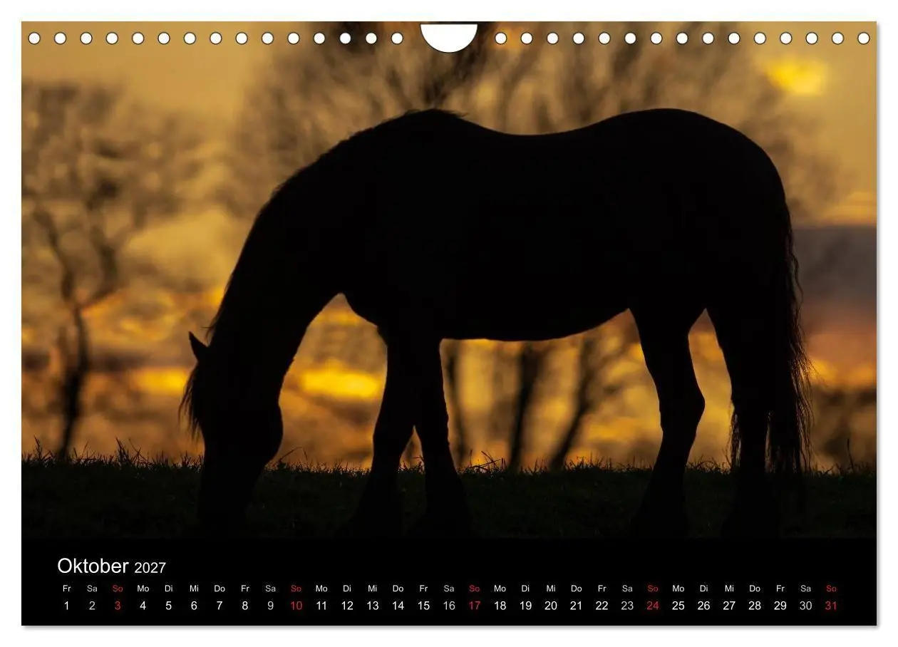 Bild: 9783569957718 | Friesen - Schönheit, Kraft und Eleganz (Wandkalender 2027 DIN A4...