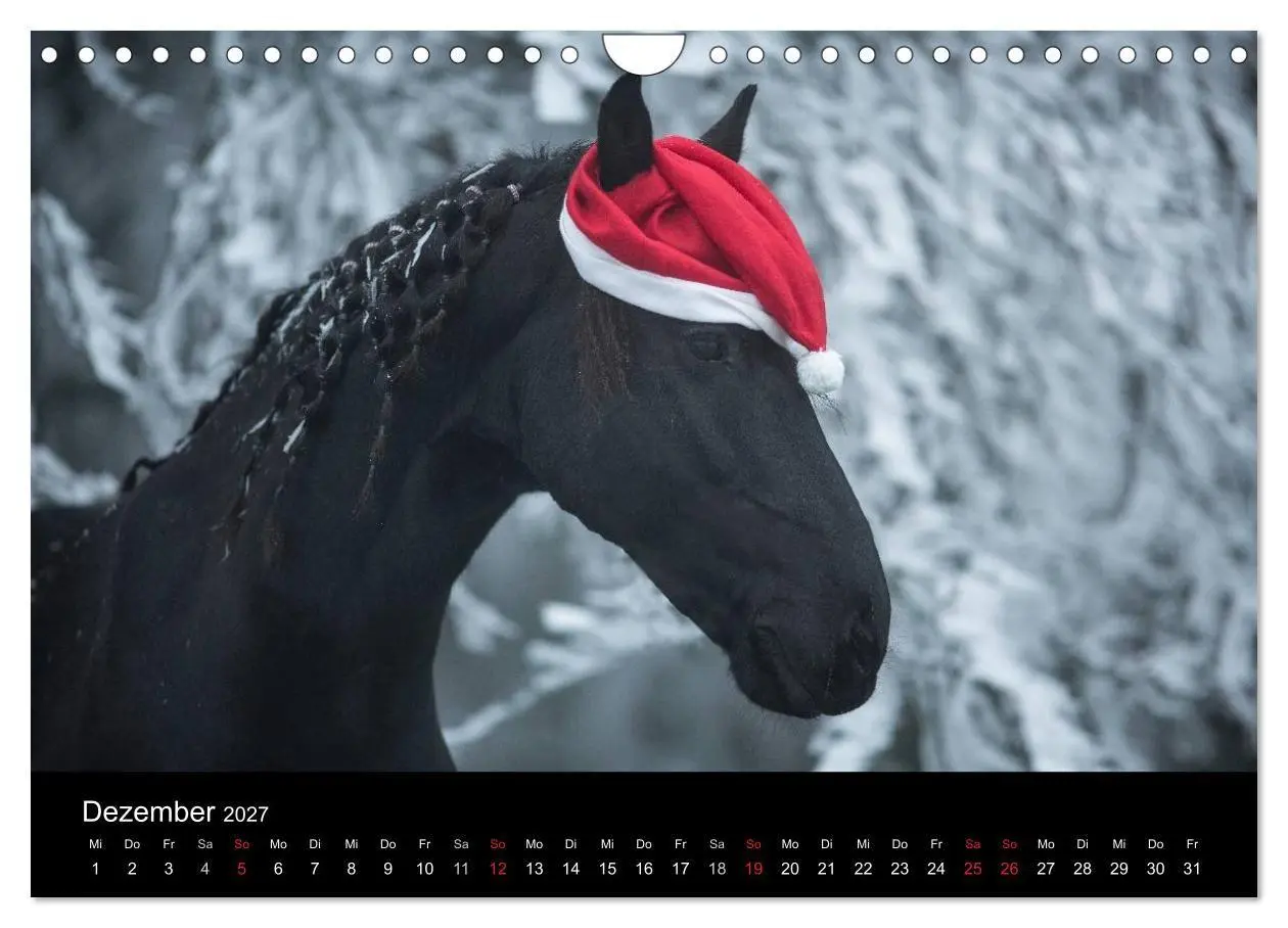 Bild: 9783569957718 | Friesen - Schönheit, Kraft und Eleganz (Wandkalender 2027 DIN A4...