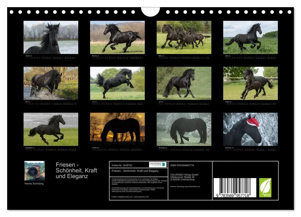 Bild: 9783569957718 | Friesen - Schönheit, Kraft und Eleganz (Wandkalender 2027 DIN A4...