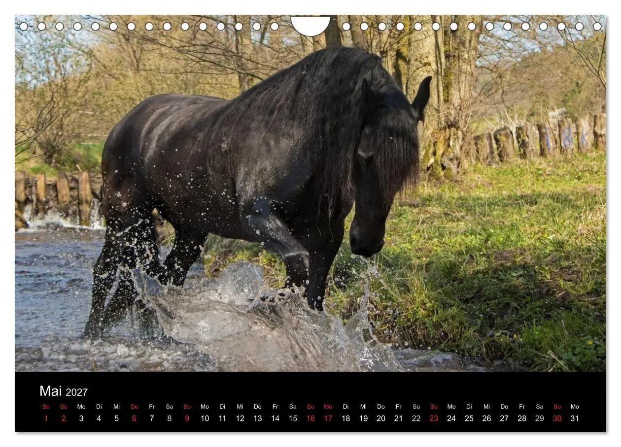 Bild: 9783569957718 | Friesen - Schönheit, Kraft und Eleganz (Wandkalender 2027 DIN A4...