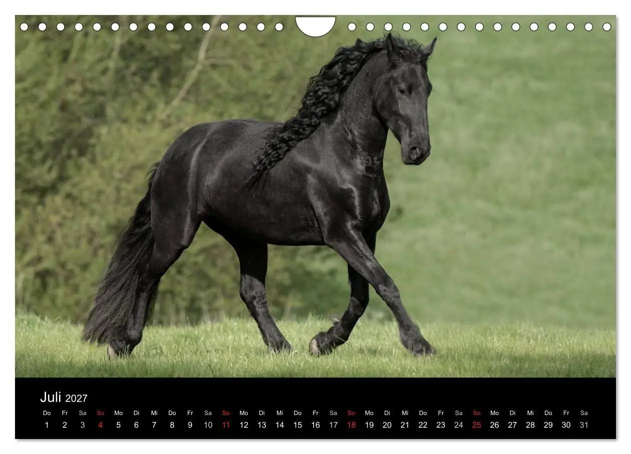 Bild: 9783569957718 | Friesen - Schönheit, Kraft und Eleganz (Wandkalender 2027 DIN A4...