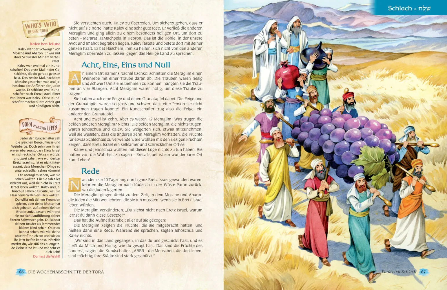 Bild: 9783898947718 | Die Wochenabschnitte der Tora. Band 4. Buch Bamidbar. | Nachman Zakon
