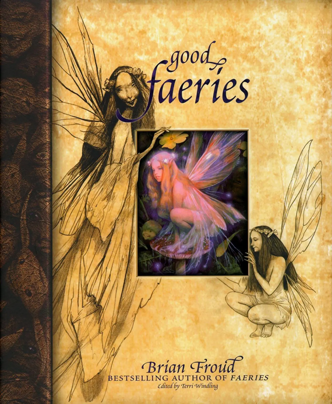 Cover: 9780684847818 | Good Faeries/Bad Faeries | Brian Froud | Buch | Gebunden | Englisch