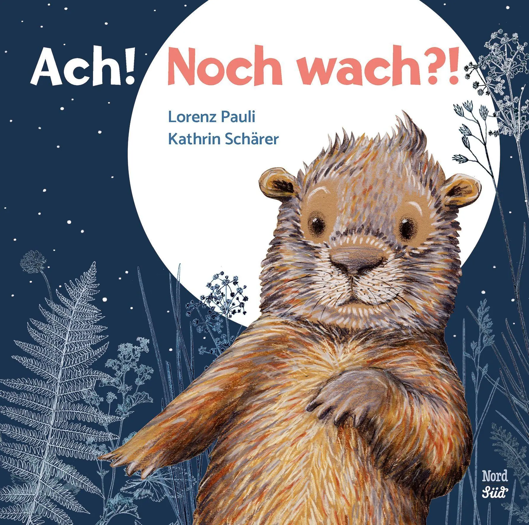 Cover: 9783314107818 | Ach! Noch wach?! | Lorenz Pauli | Buch | 32 S. | Deutsch | 2026