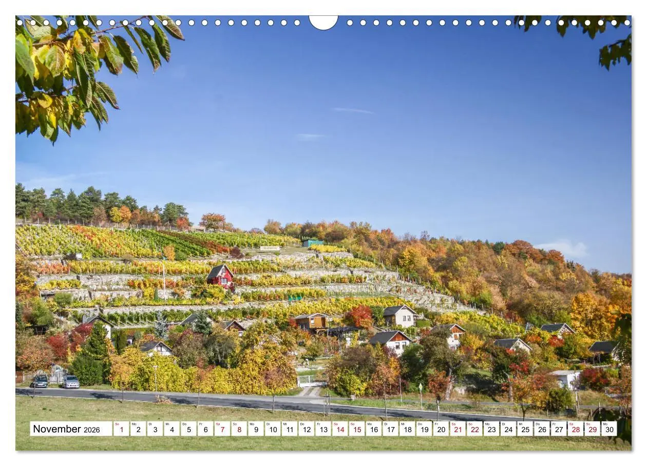 Bild: 9783457907818 | Weinberge um Jena (Wandkalender 2026 DIN A3 quer), CALVENDO...