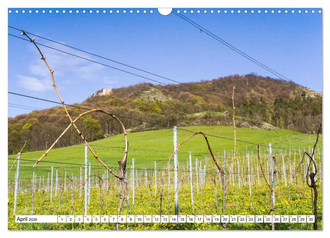 Bild: 9783457907818 | Weinberge um Jena (Wandkalender 2026 DIN A3 quer), CALVENDO...