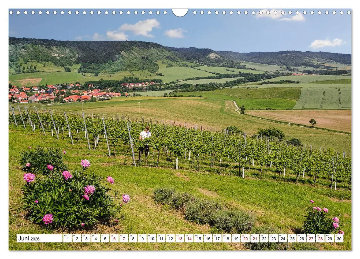 Bild: 9783457907818 | Weinberge um Jena (Wandkalender 2026 DIN A3 quer), CALVENDO...