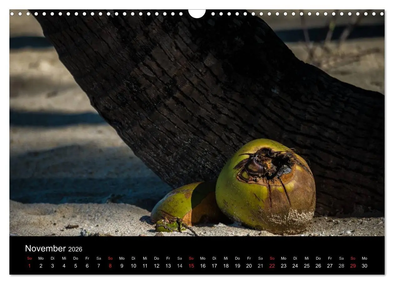 Bild: 9783516157918 | Myanmar - Eindrücke (Wandkalender 2026 DIN A3 quer), CALVENDO...
