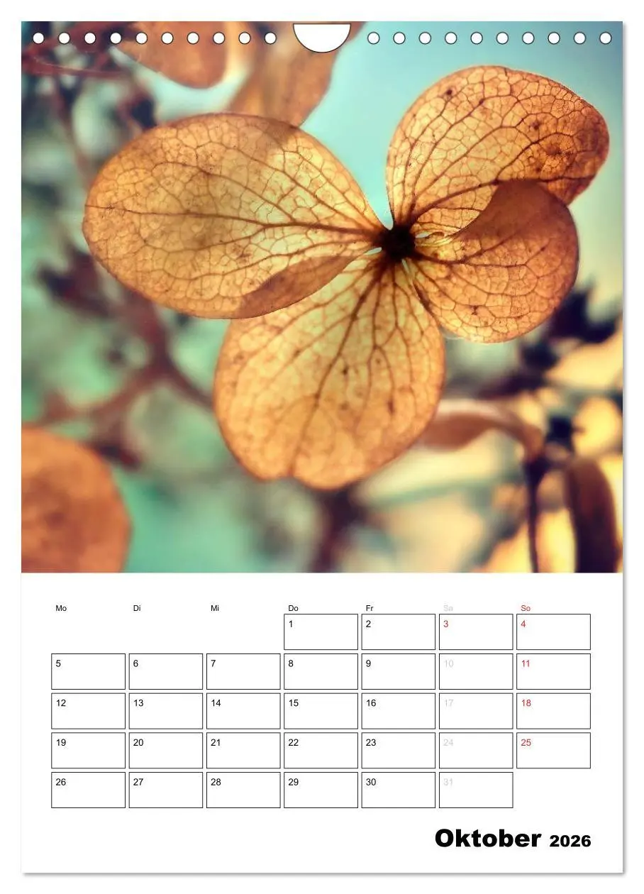 Bild: 9783516467918 | Zauberhafte Blütenwelt / Planer (Wandkalender 2026 DIN A4 hoch),...