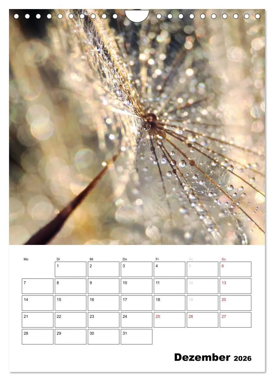 Bild: 9783516467918 | Zauberhafte Blütenwelt / Planer (Wandkalender 2026 DIN A4 hoch),...