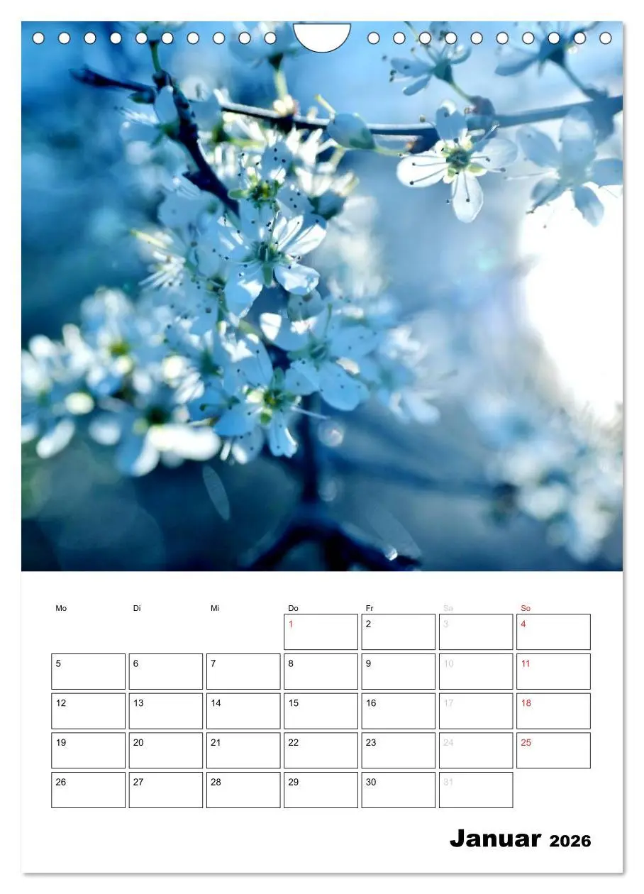 Bild: 9783516467918 | Zauberhafte Blütenwelt / Planer (Wandkalender 2026 DIN A4 hoch),...