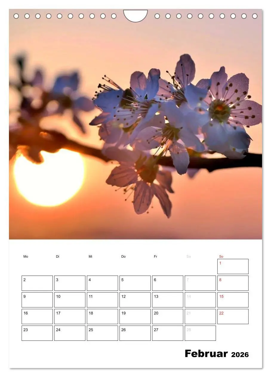 Bild: 9783516467918 | Zauberhafte Blütenwelt / Planer (Wandkalender 2026 DIN A4 hoch),...