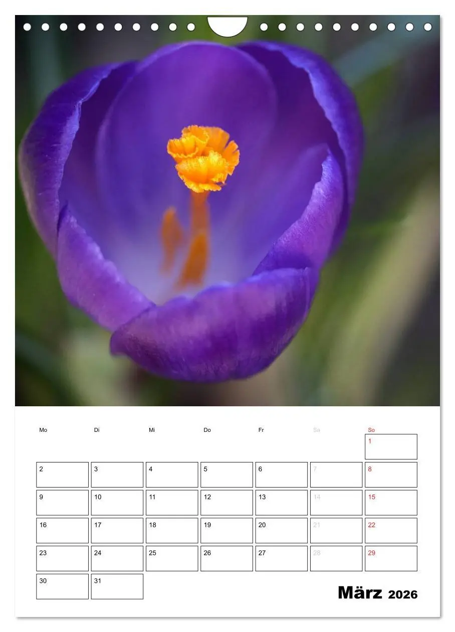 Bild: 9783516467918 | Zauberhafte Blütenwelt / Planer (Wandkalender 2026 DIN A4 hoch),...