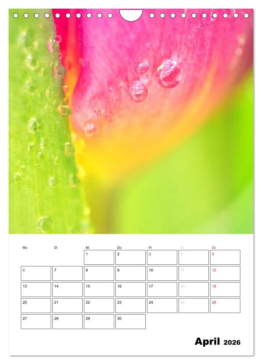 Bild: 9783516467918 | Zauberhafte Blütenwelt / Planer (Wandkalender 2026 DIN A4 hoch),...