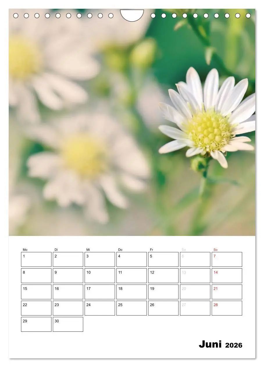 Bild: 9783516467918 | Zauberhafte Blütenwelt / Planer (Wandkalender 2026 DIN A4 hoch),...