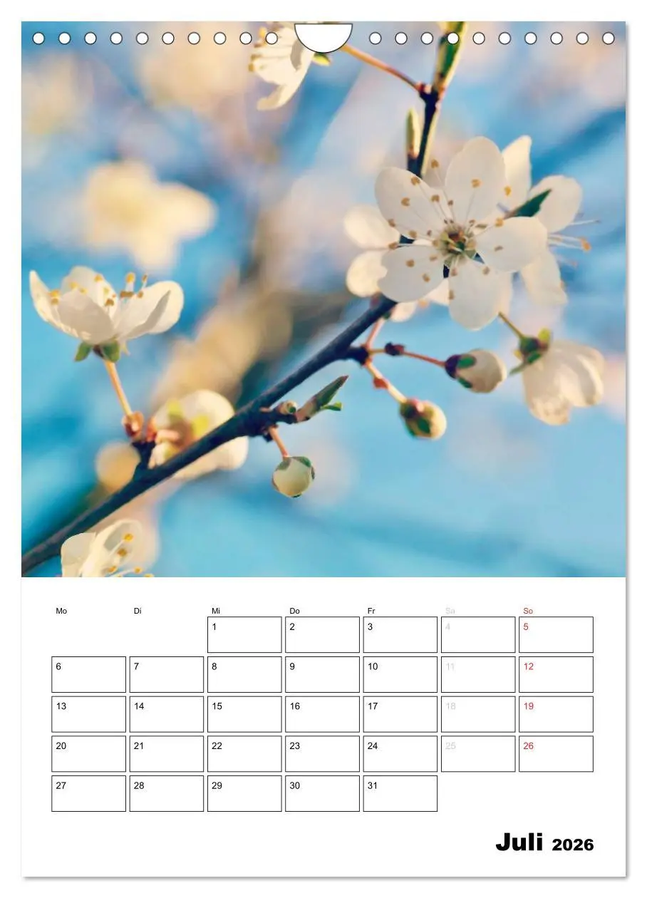 Bild: 9783516467918 | Zauberhafte Blütenwelt / Planer (Wandkalender 2026 DIN A4 hoch),...