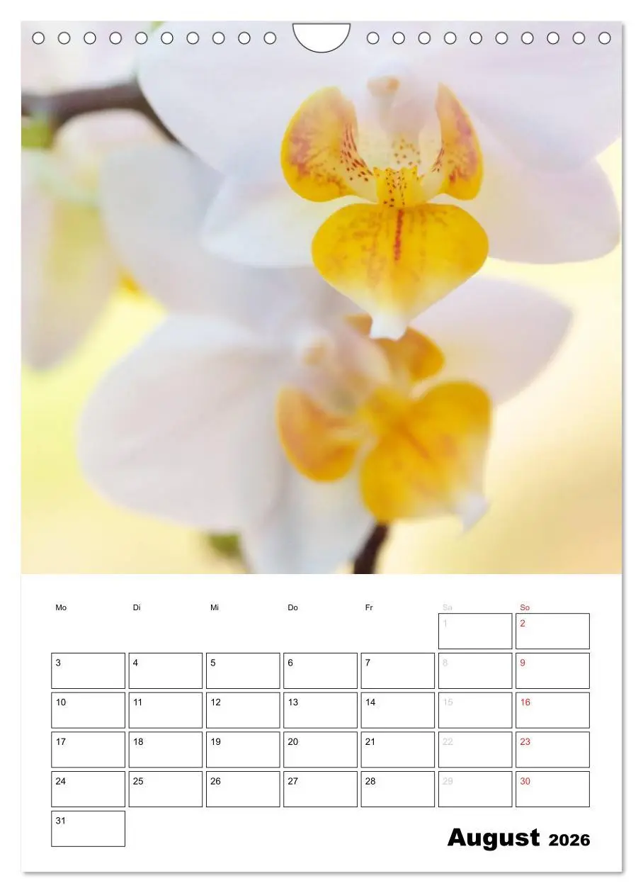 Bild: 9783516467918 | Zauberhafte Blütenwelt / Planer (Wandkalender 2026 DIN A4 hoch),...