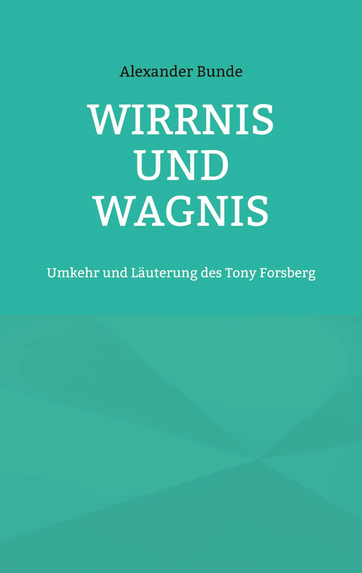 Wirrnis und Wagnis: Umkehr und Läuterung des Tony Forsberg