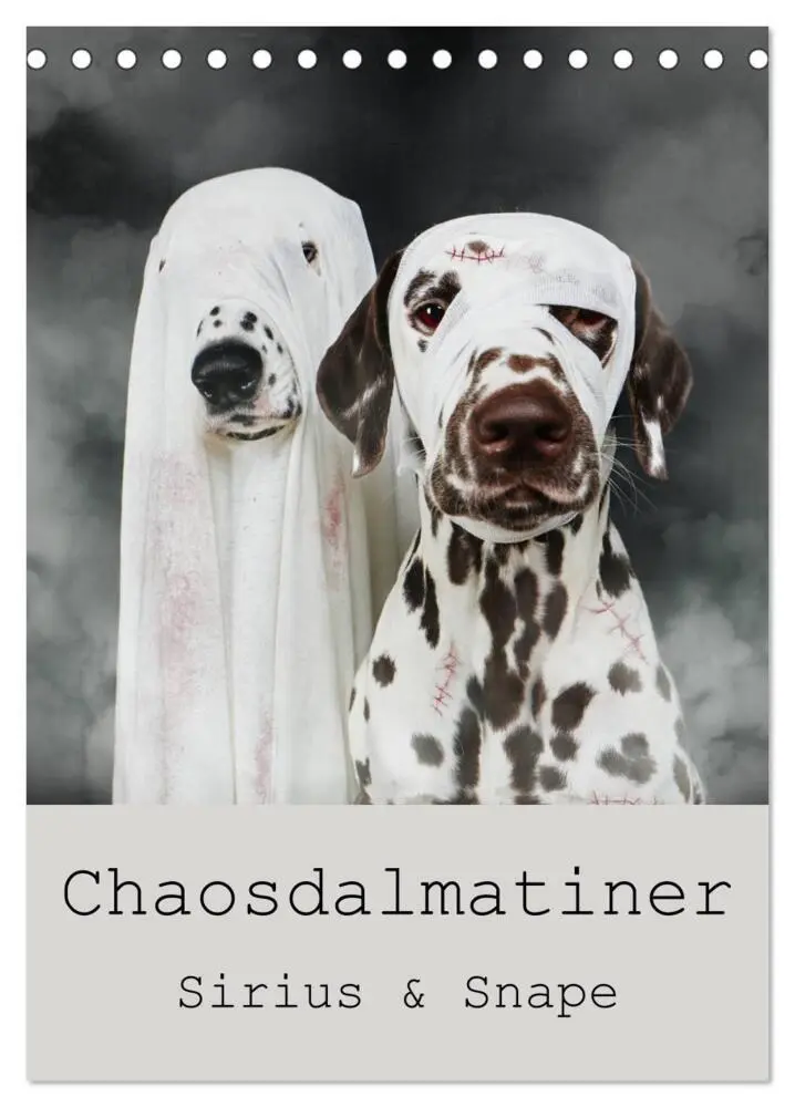 Cover: 9783435938018 | Chaosdalmatiner Sirius und Snape (Tischkalender 2025 DIN A5 hoch),...