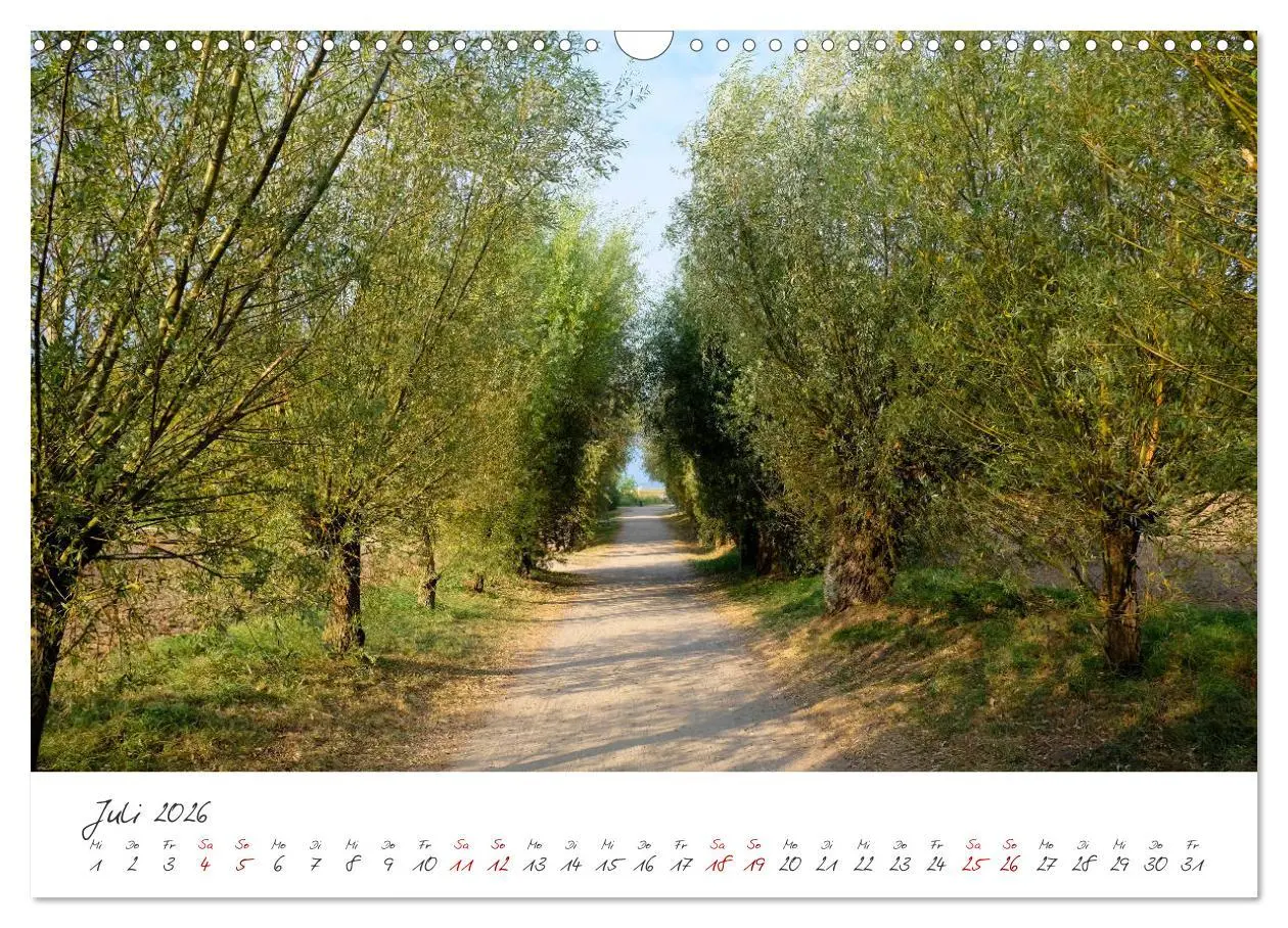 Bild: 9783457888018 | Osteeinsel Poel (Wandkalender 2026 DIN A3 quer), CALVENDO...