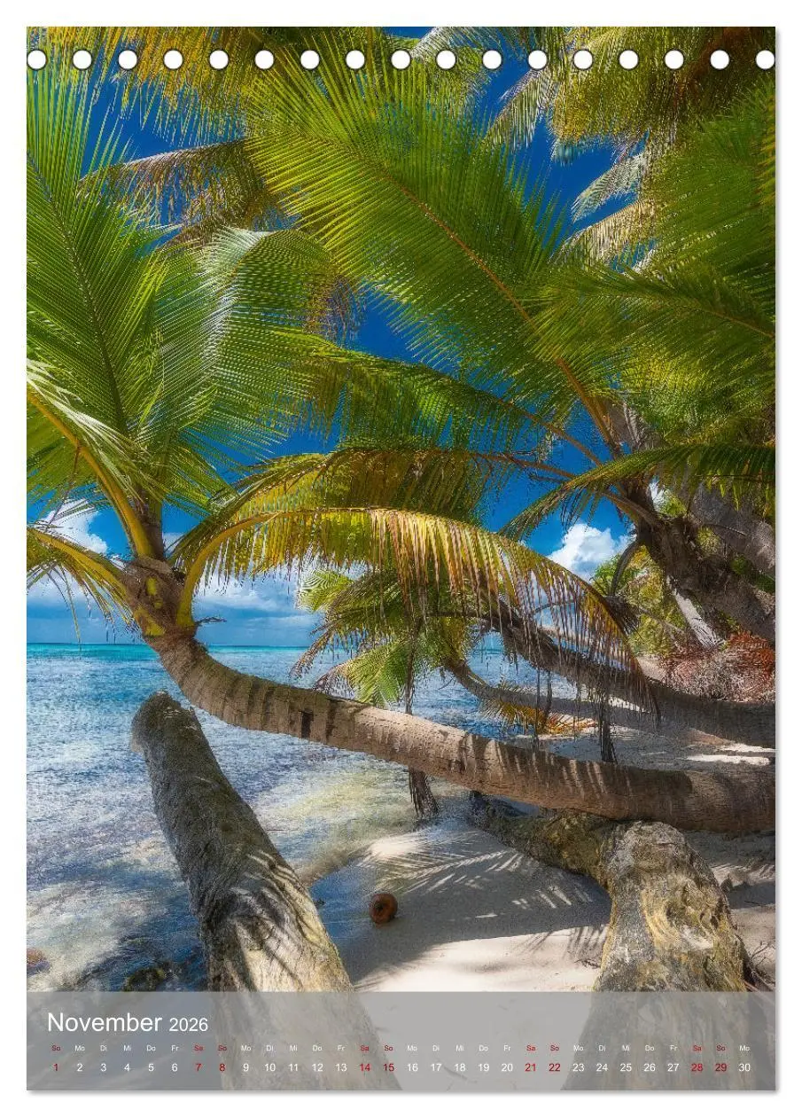 Bild: 9783516358018 | Karibischer Traum Isla Saona (Tischkalender 2026 DIN A5 hoch),...