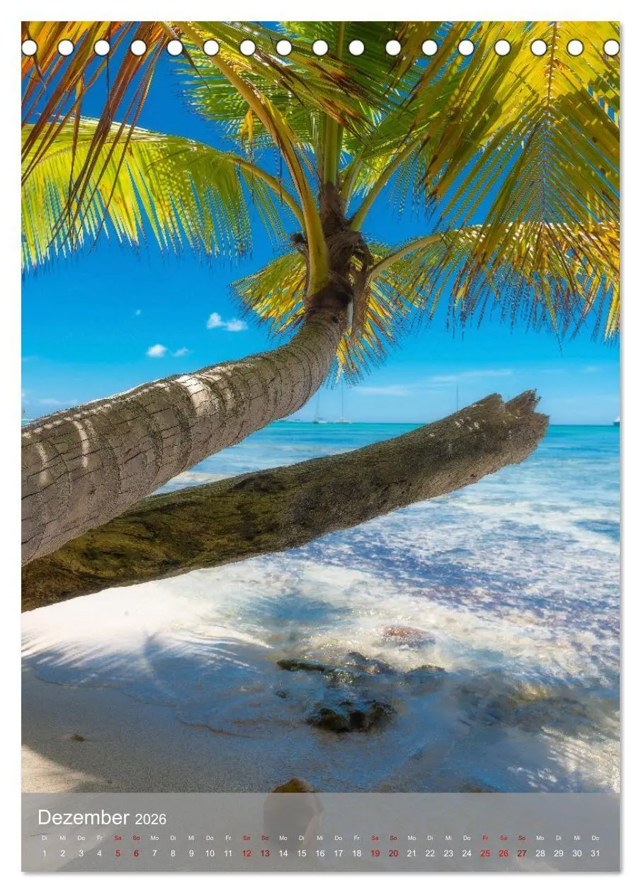 Bild: 9783516358018 | Karibischer Traum Isla Saona (Tischkalender 2026 DIN A5 hoch),...