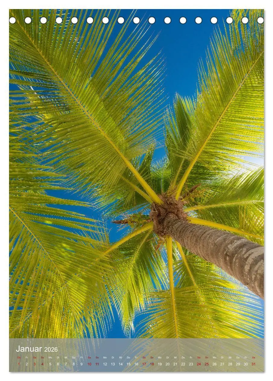 Bild: 9783516358018 | Karibischer Traum Isla Saona (Tischkalender 2026 DIN A5 hoch),...