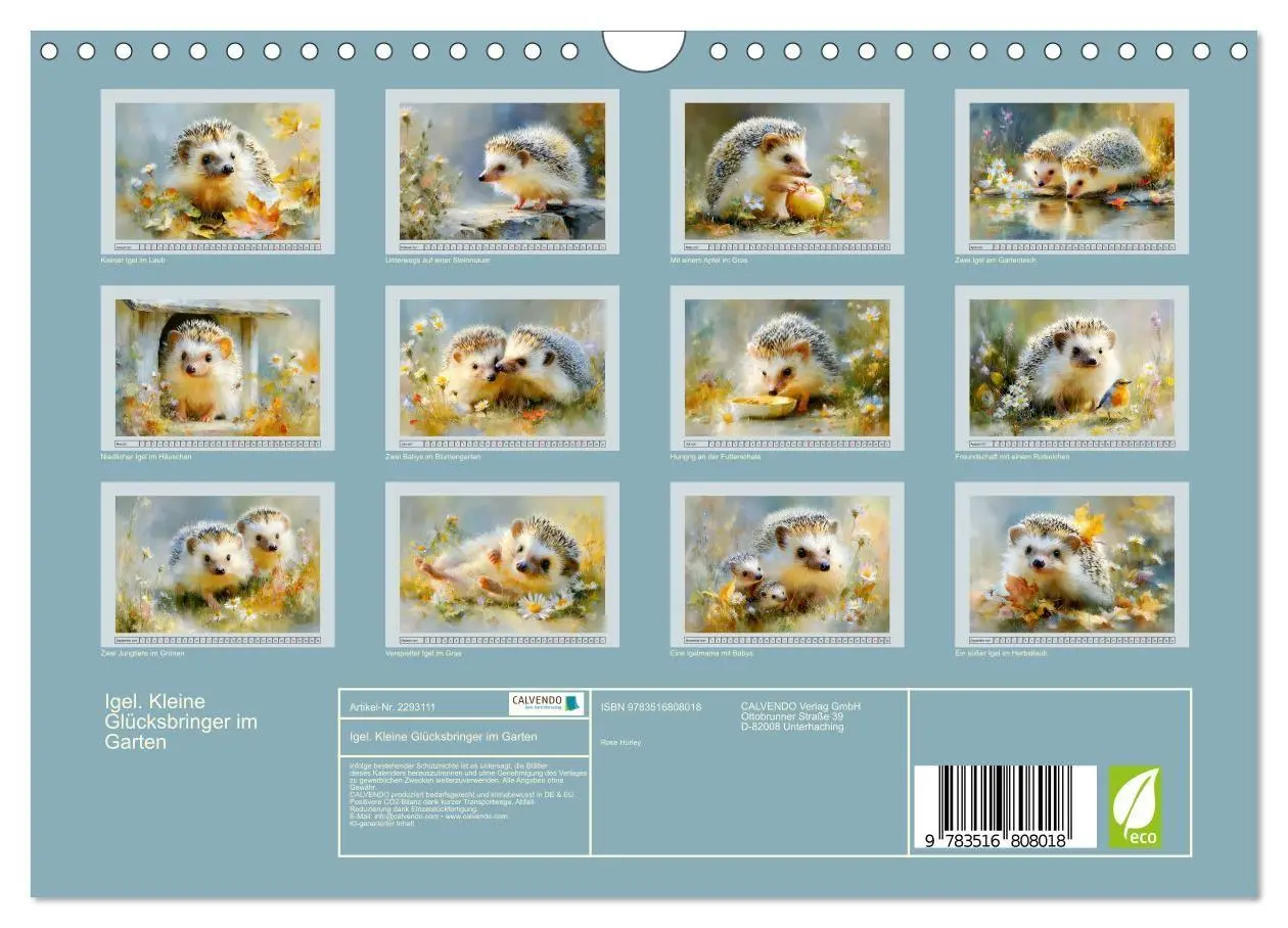 Bild: 9783516808018 | Igel. Kleine Glücksbringer im Garten (Wandkalender 2027 DIN A4...